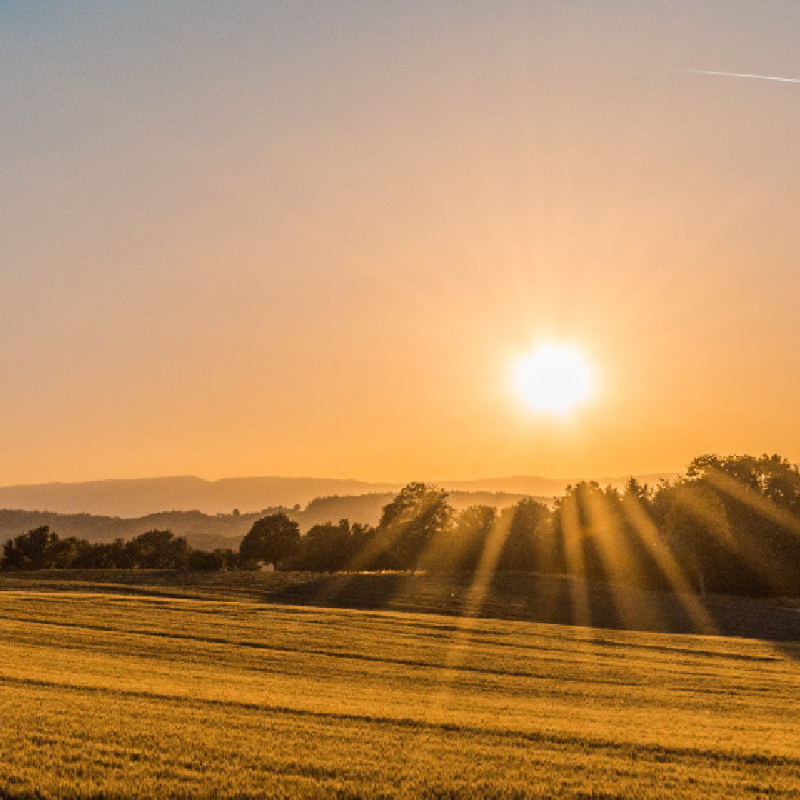 home_asoi_Plan de travail 1