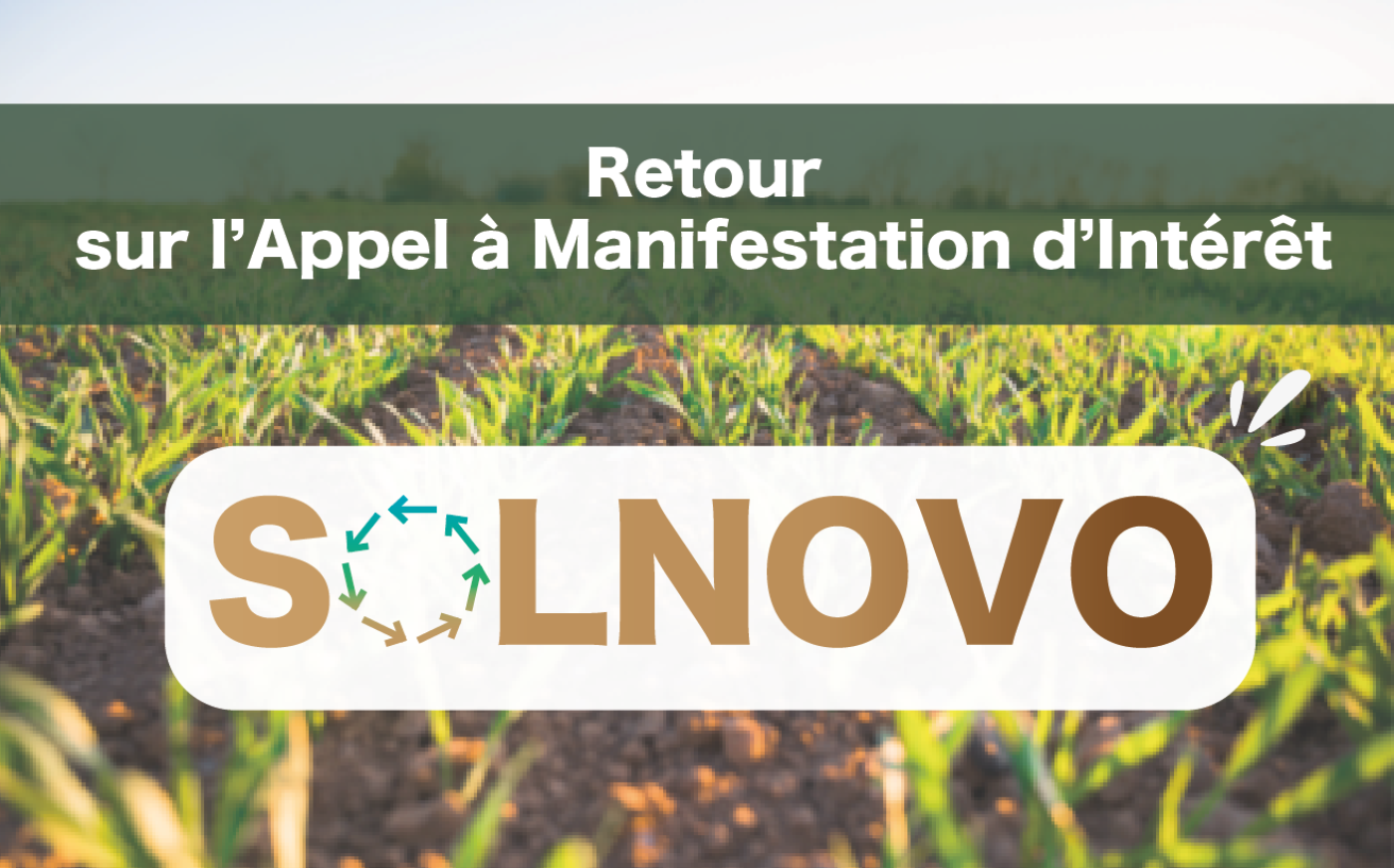 LOGO SOLNOVO (Conflicted copy from MacBook Air de Sarah on 2022-04-13-12-58-17) conflit-08