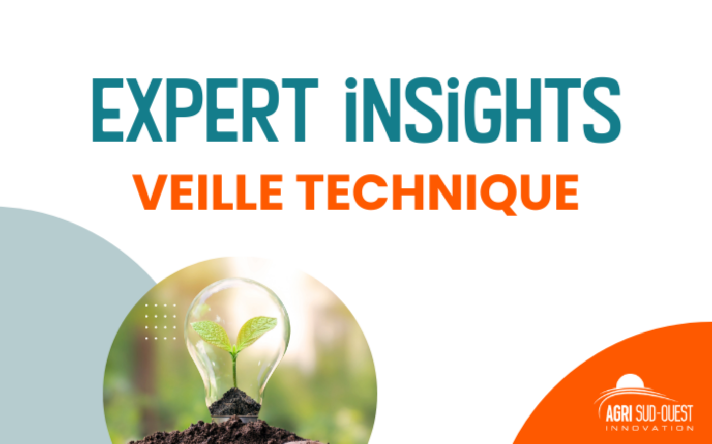 Vignettes site web – Lettre d’infos