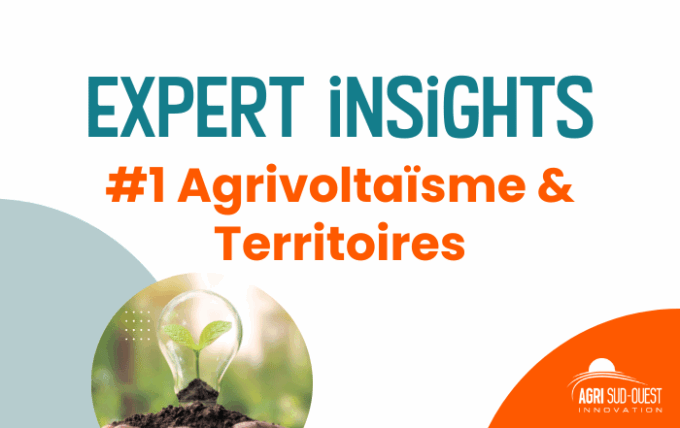 Vignettes site web – Lettre d’infos (1)